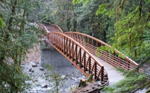 U.S. Bridge Viking