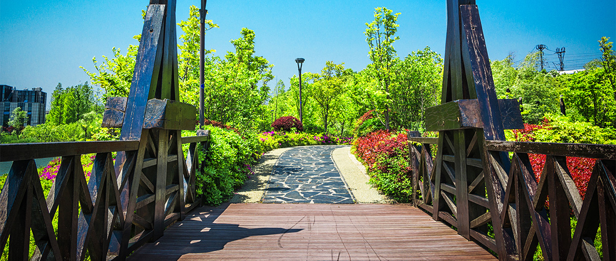 Abandoned Public Infrastructure as Parks